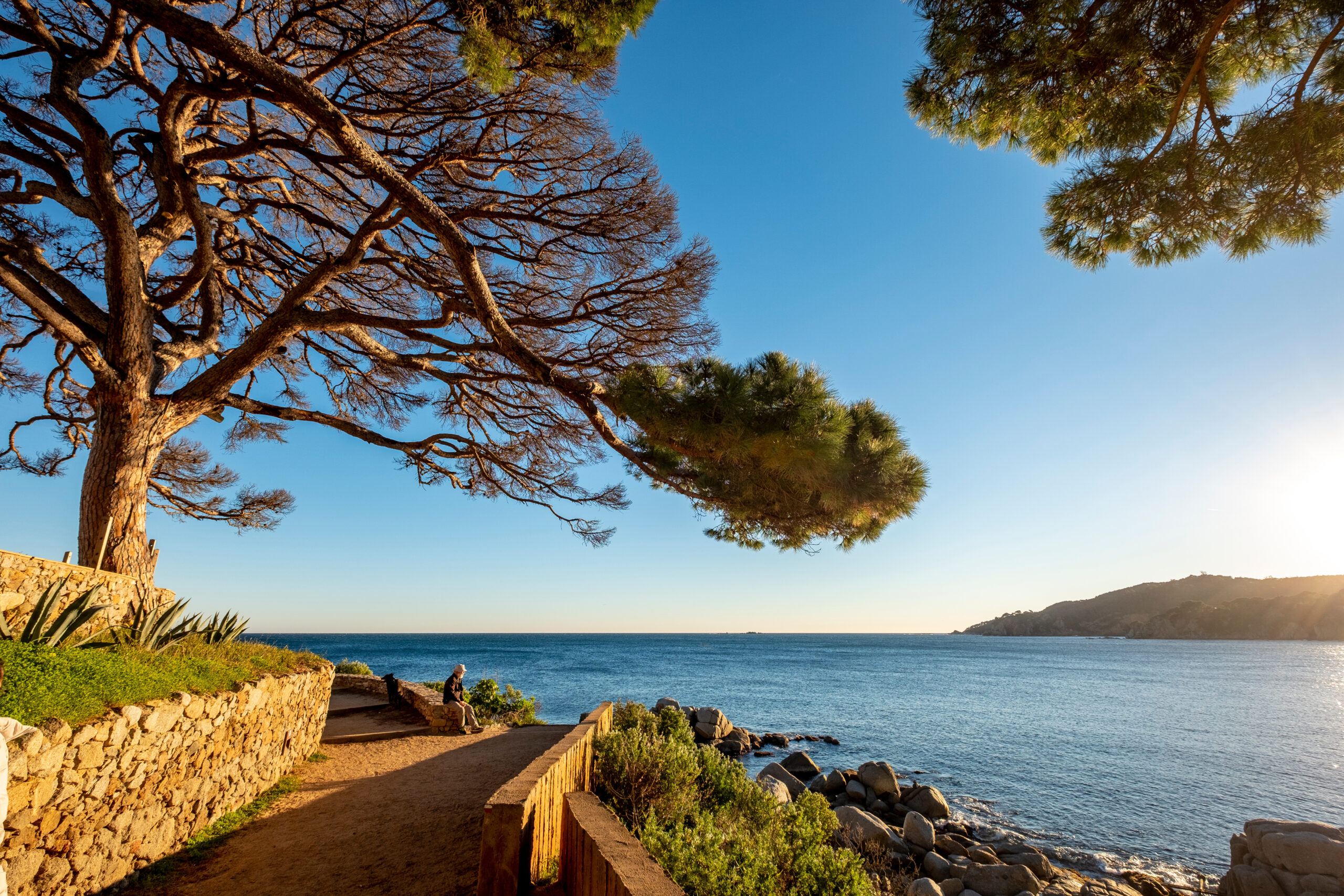Imagen de la costa brava que representa el camino de ronda, en una de las zonas donde trabaja Calma Brava Homes, inmobiliaria especializada en vender y alquiler viviendas, con experiencia local, concretamente en Calella de Palafrugell, estrategia de mercado y servicios profesionales para propietarios.