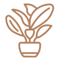 Sin título (200 x 300 px) (2)