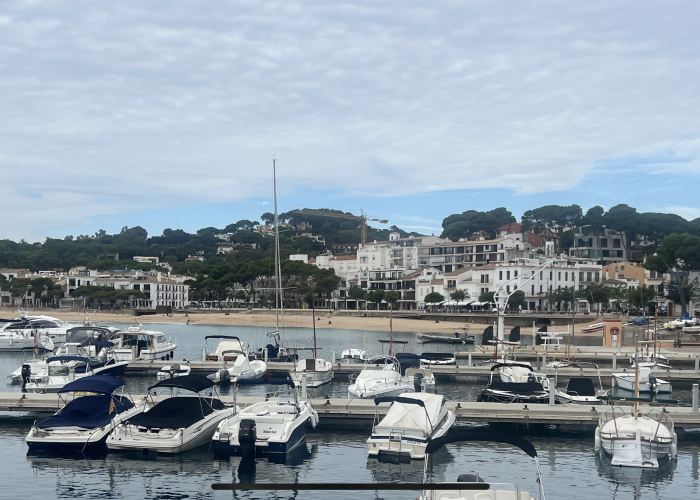 foto_encabezado_alquiler